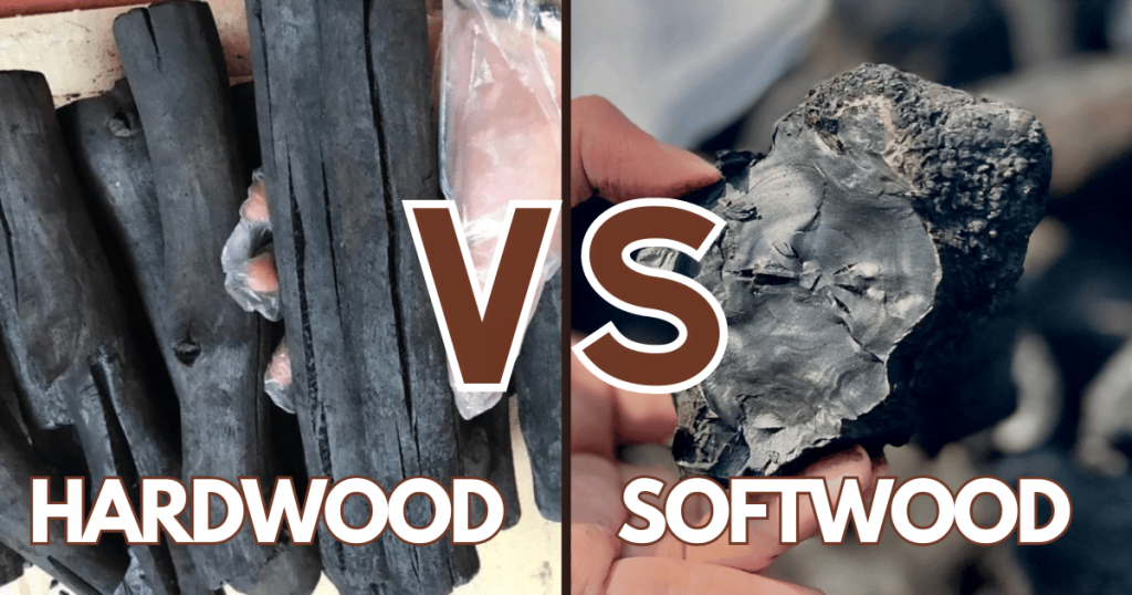 Hardwood Charcoal and Softwood Charcoal 2024 1 Difference hardwood charcoal and softwood charcoal