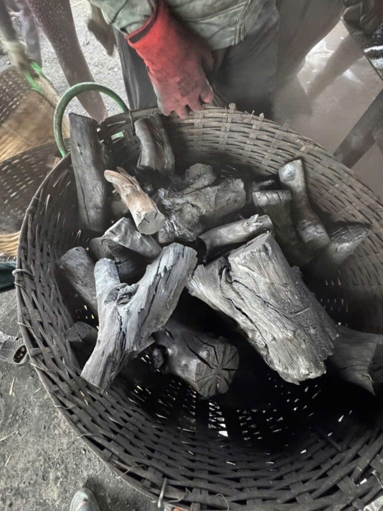 Coal vs charcoal